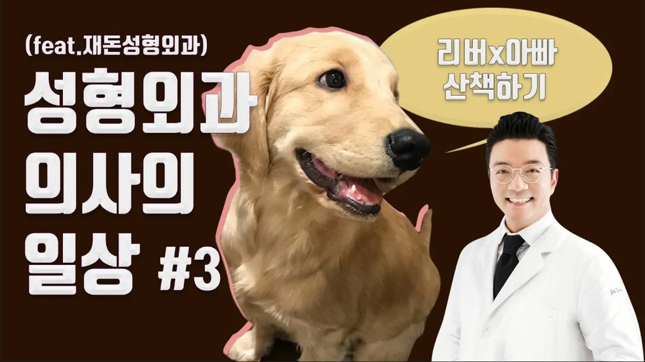 성형외과 의사 일상 l 서재돈 원장의 일상로그 #3 리버와산책